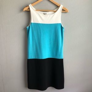 Tyler Boe colorblock sleeveless shift dress XS.